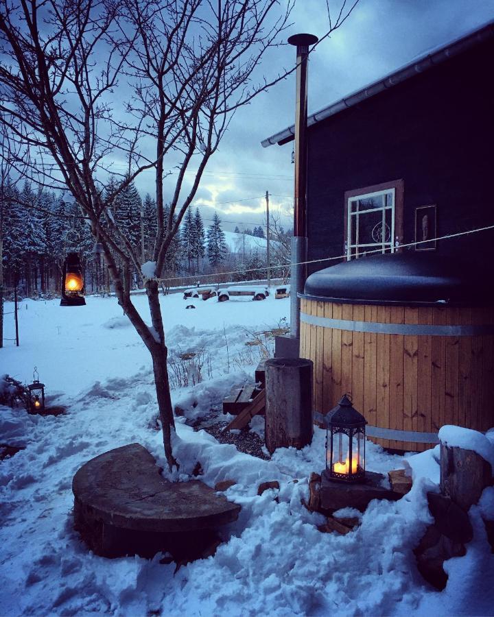 Вилла Blickinsfreie - Cabin Шёнек Экстерьер фото