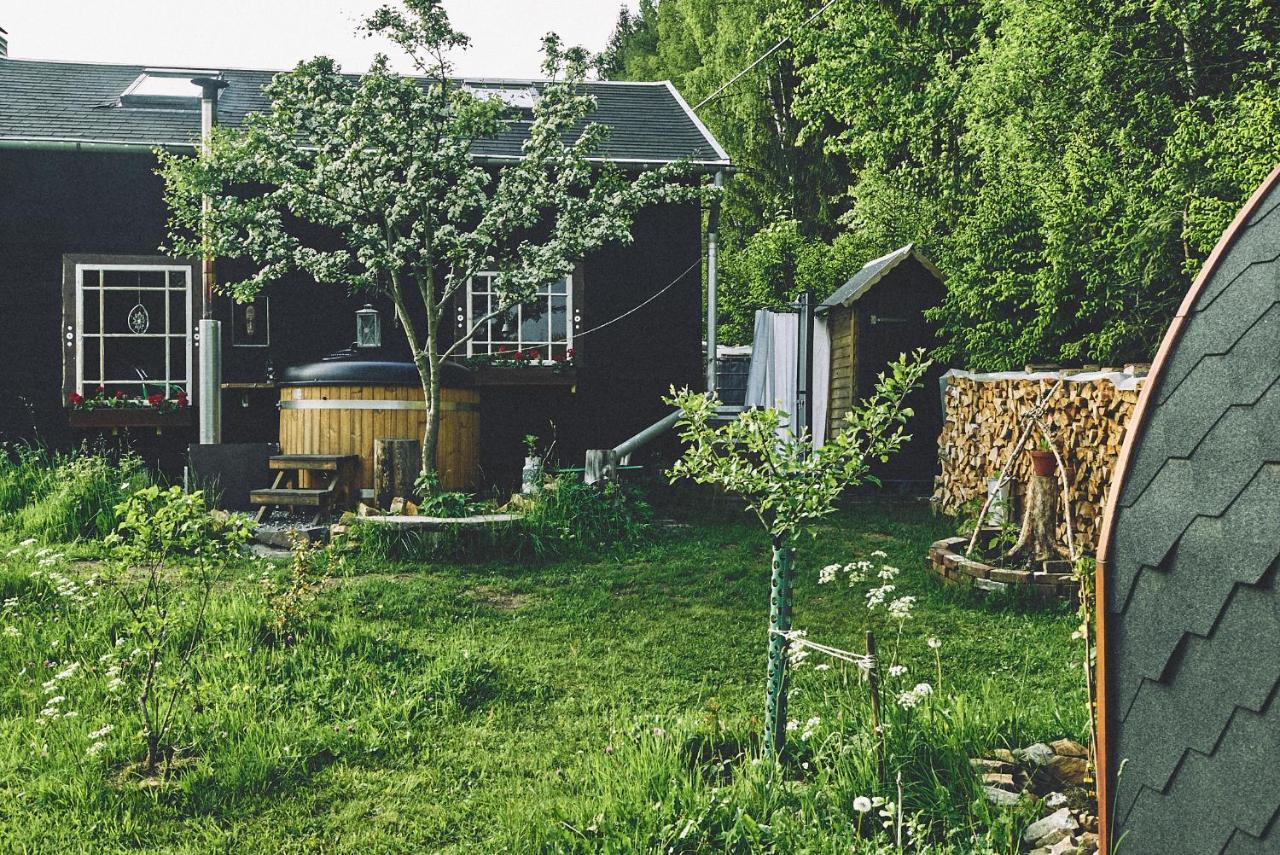 Вилла Blickinsfreie - Cabin Шёнек Экстерьер фото