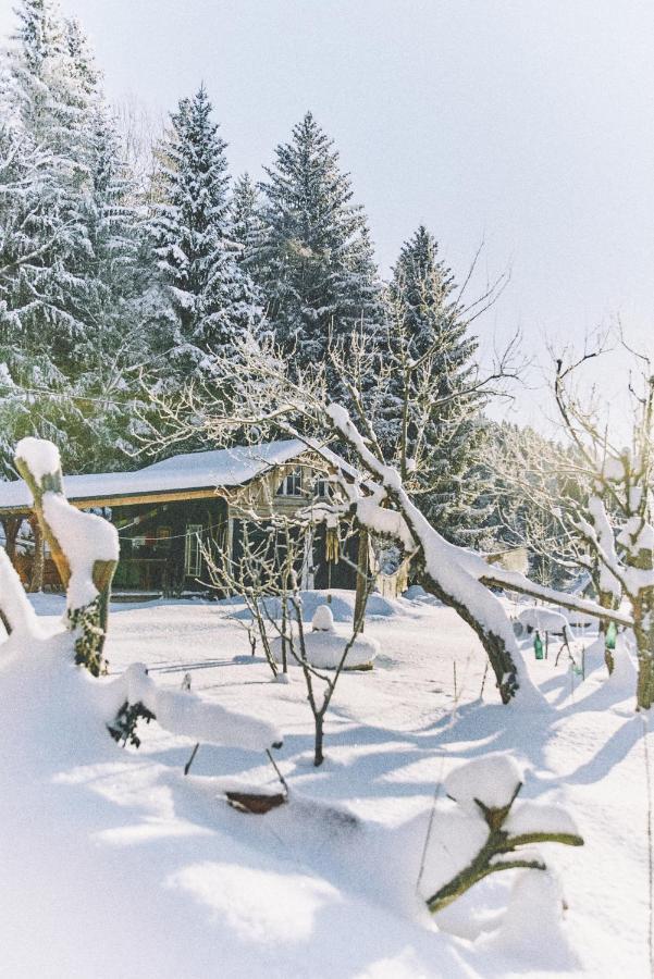 Вилла Blickinsfreie - Cabin Шёнек Экстерьер фото