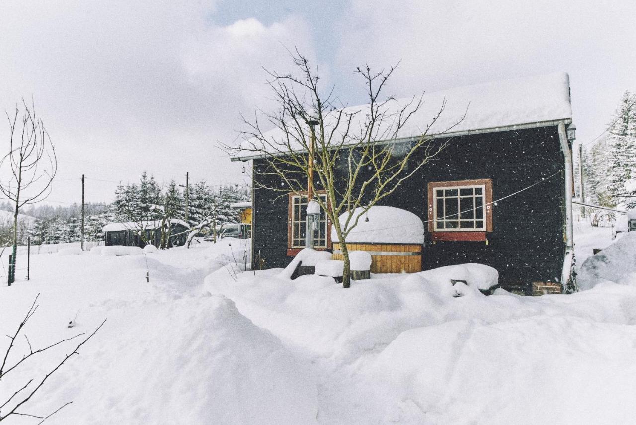 Вилла Blickinsfreie - Cabin Шёнек Экстерьер фото