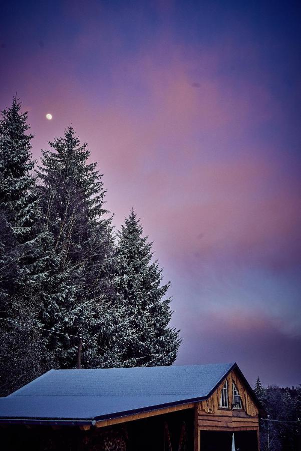 Вилла Blickinsfreie - Cabin Шёнек Экстерьер фото