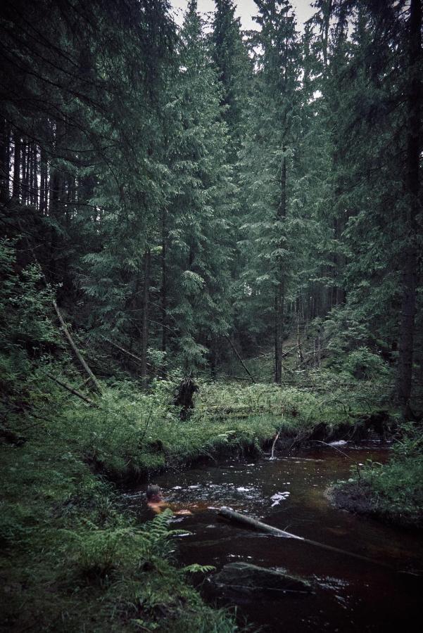 Blickinsfreie - Cabin Шёнек Экстерьер фото