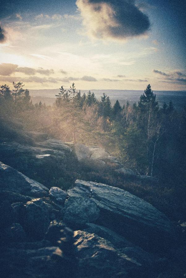 Blickinsfreie - Cabin Шёнек Экстерьер фото
