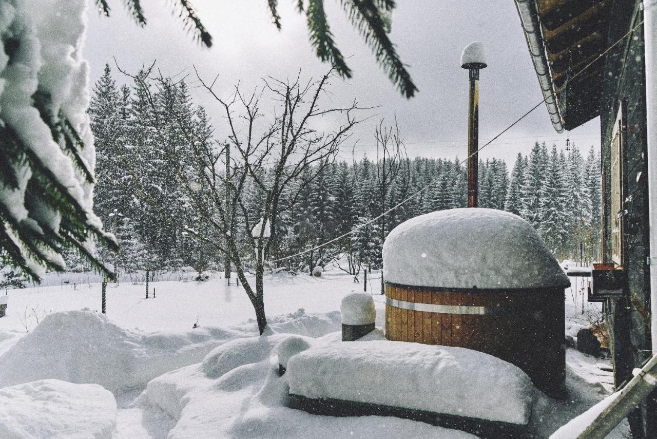 Вилла Blickinsfreie - Cabin Шёнек Экстерьер фото