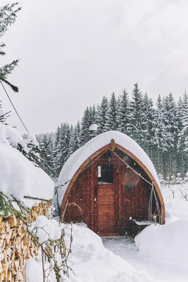 Вилла Blickinsfreie - Cabin Шёнек Экстерьер фото