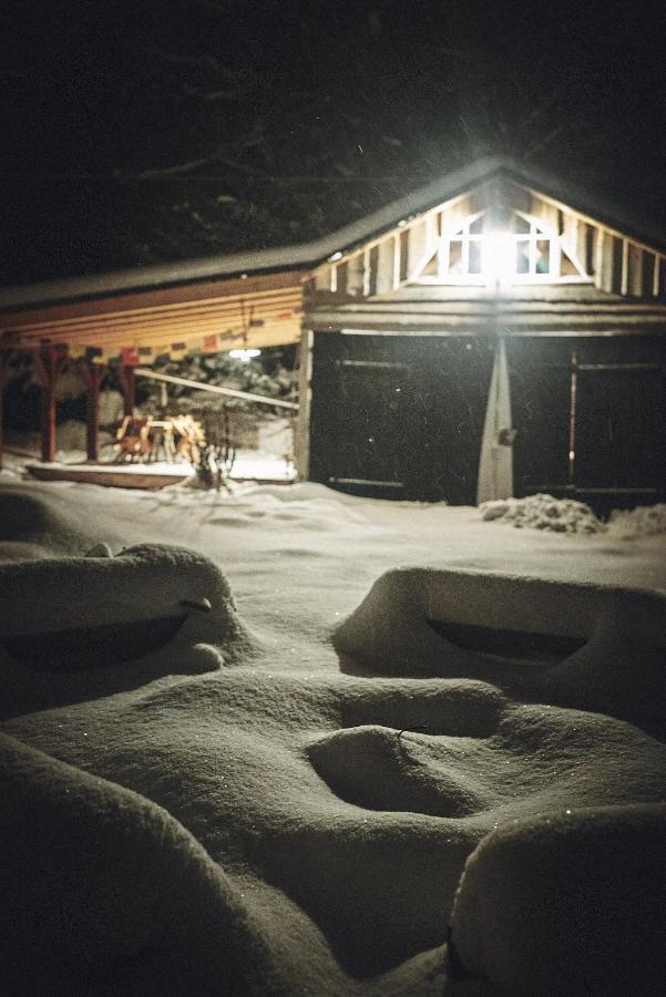 Вилла Blickinsfreie - Cabin Шёнек Экстерьер фото