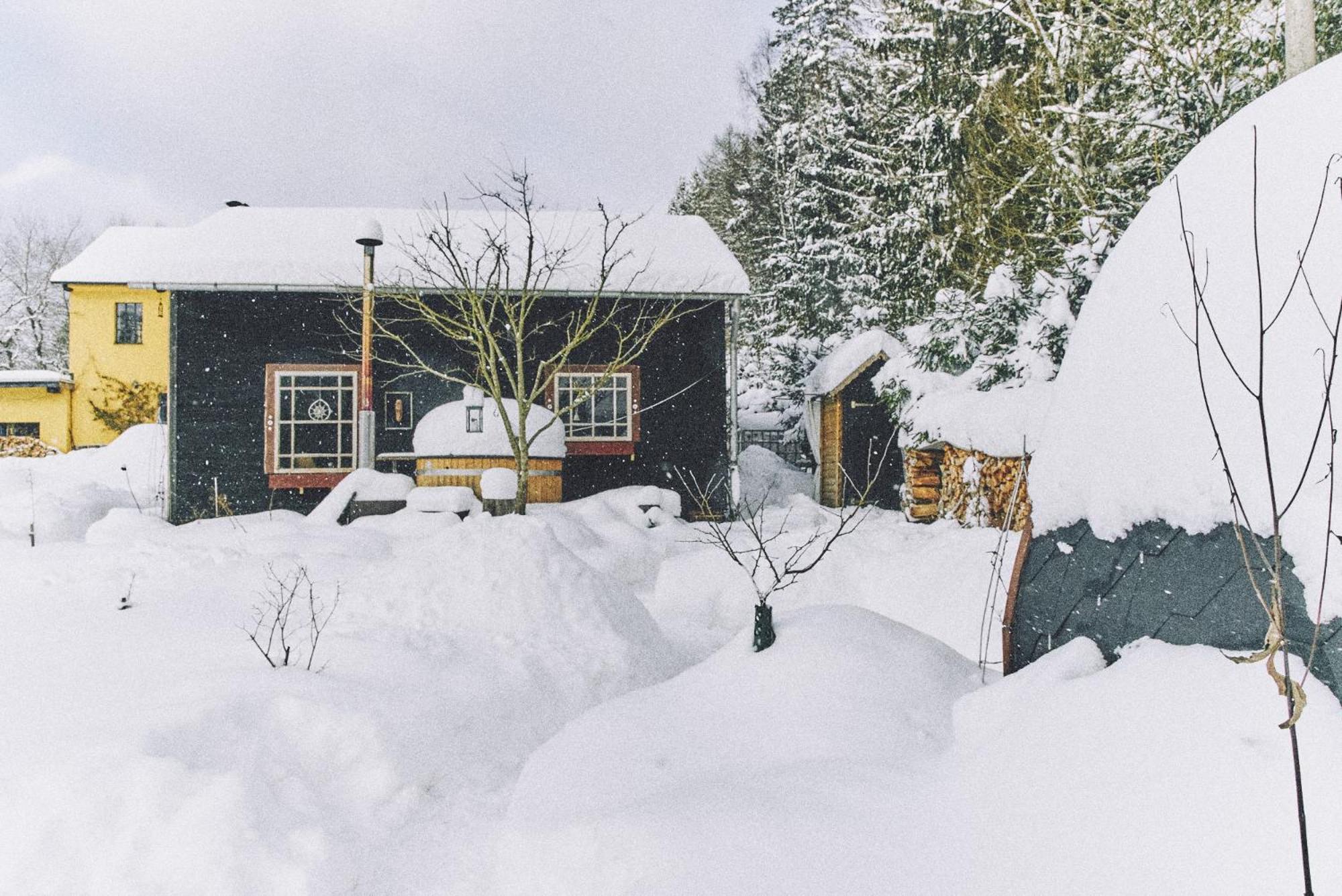 Вилла Blickinsfreie - Cabin Шёнек Экстерьер фото