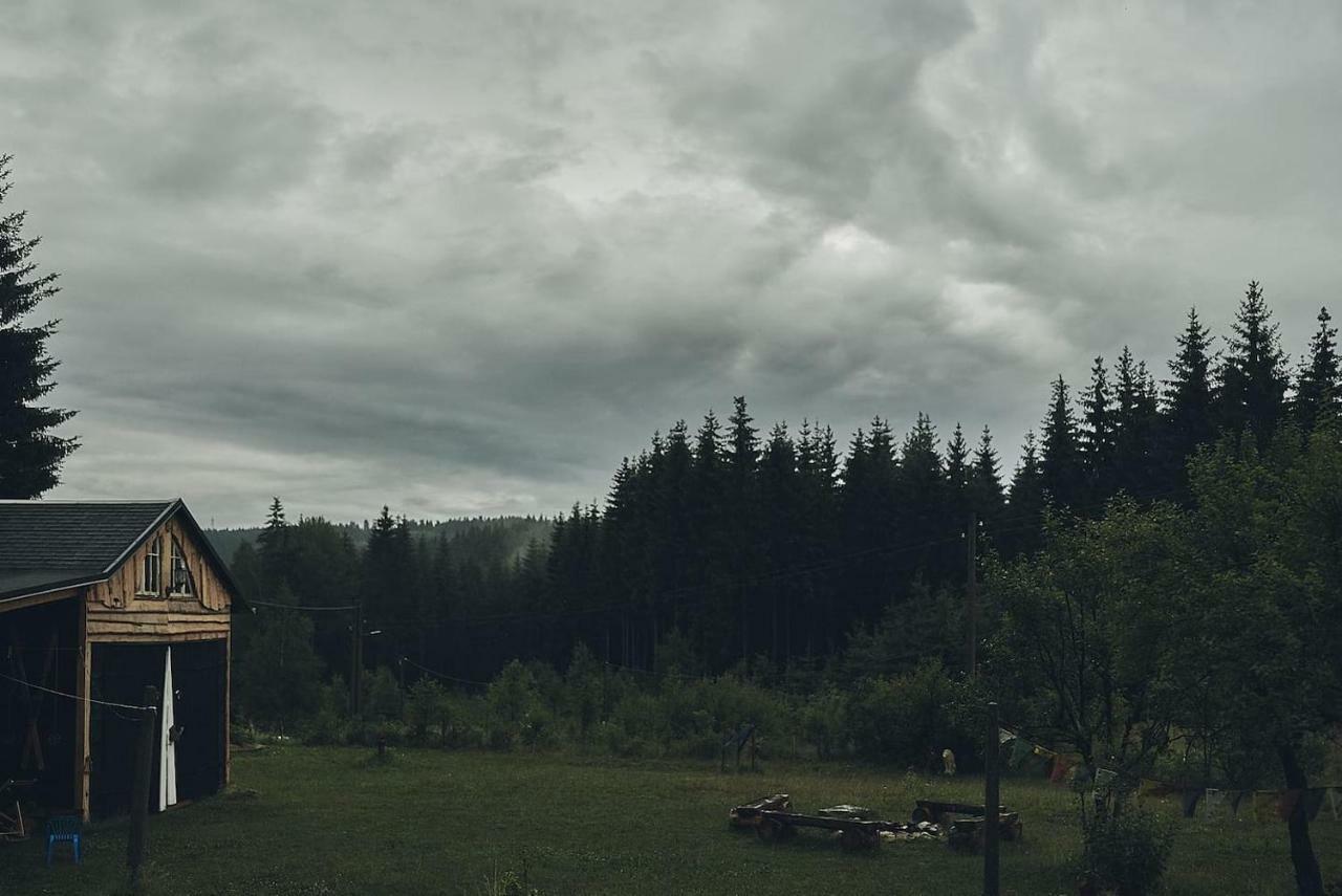 Blickinsfreie - Cabin Шёнек Экстерьер фото