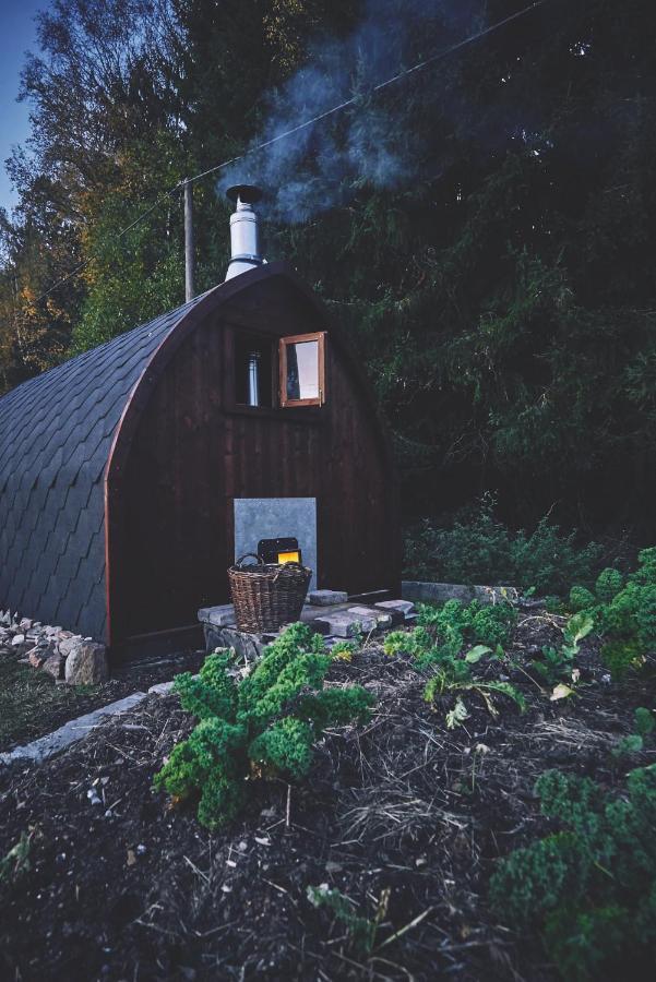 Вилла Blickinsfreie - Cabin Шёнек Экстерьер фото